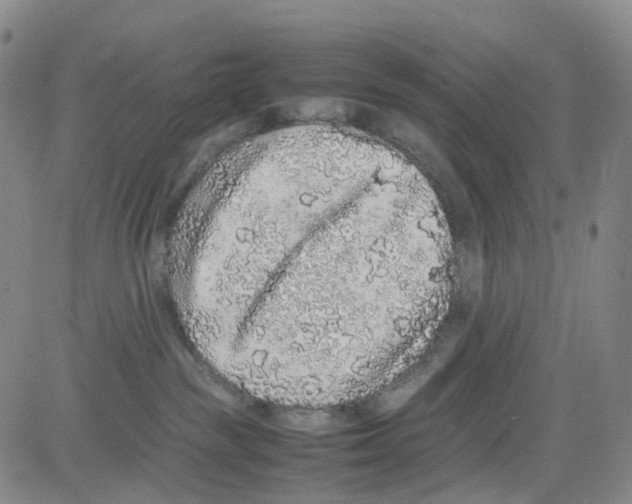 X0000082740189200702240022