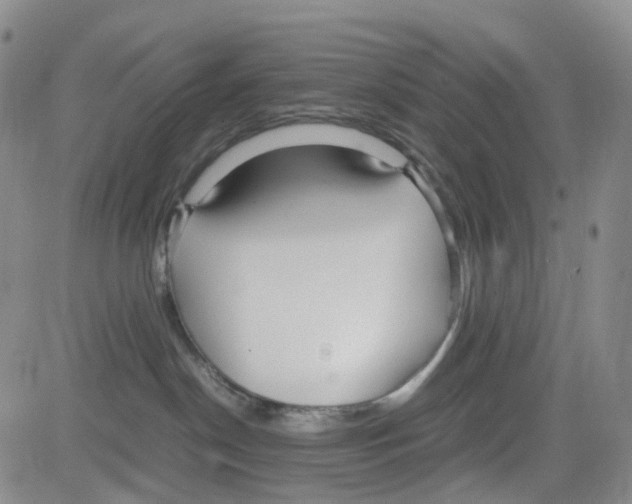 X0000082740190200702240022