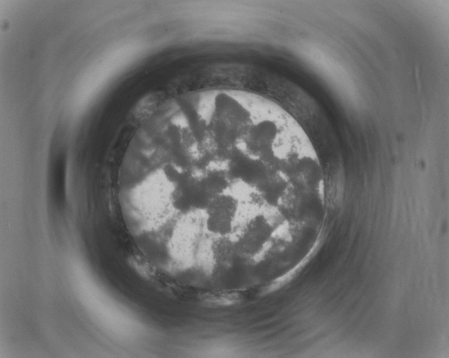 X0000082740191200702240022