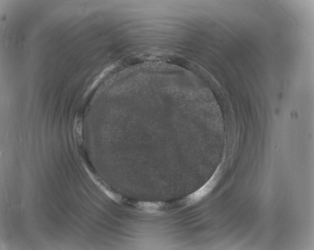 X0000082740192200702240022