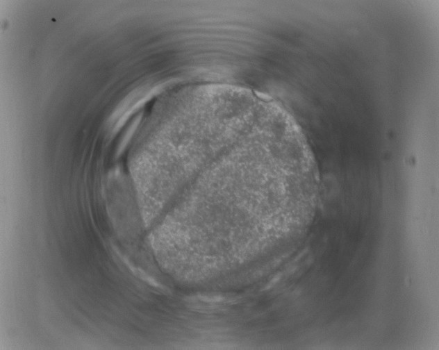 X0000082740194200702240021