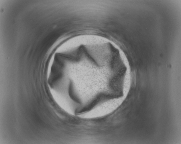 X0000082740195200702240021