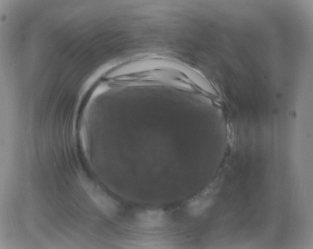 X0000082740196200702240021