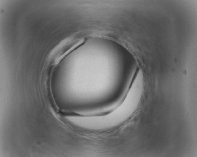 X0000082740197200702240021