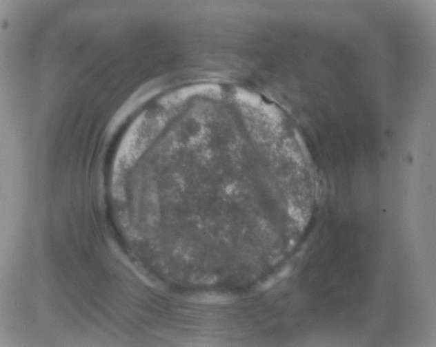 X0000082740198200702240021