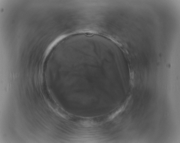 X0000082740200200702240021