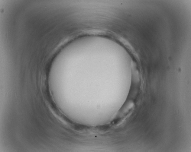 X0000082740201200702240021