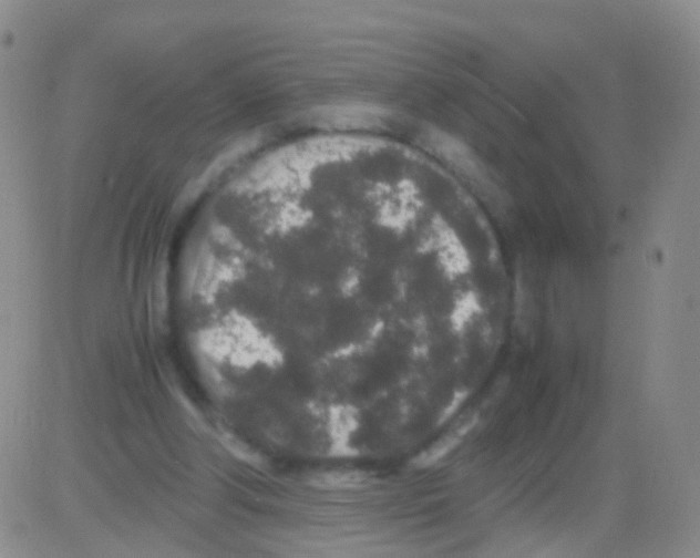 X0000082740202200702240021