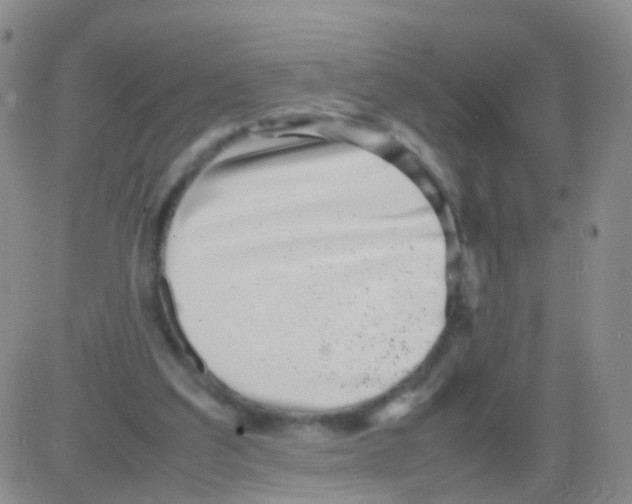 X0000082740203200702240021