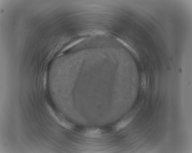 X0000082740206200702240021