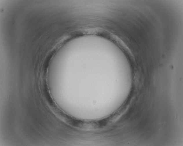 X0000082740209200702240021