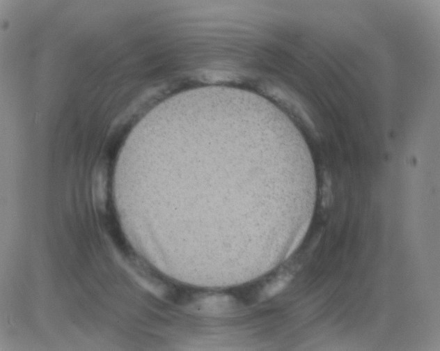 X0000082740210200702240021