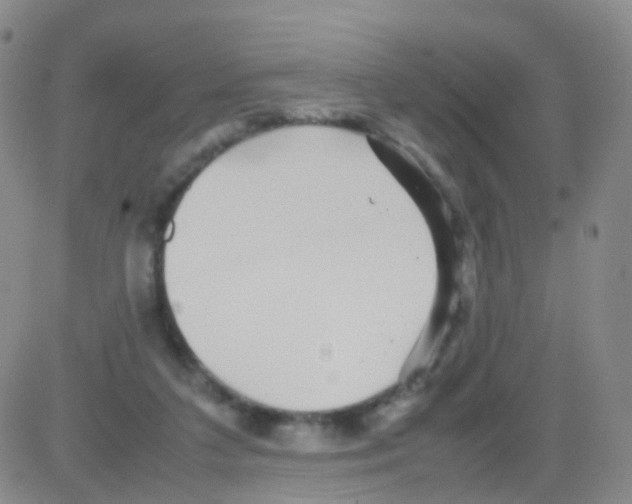 X0000082740211200702240021