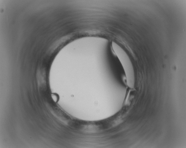 X0000082740212200702240021