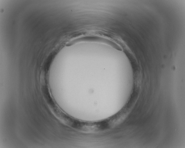 X0000082740213200702240021