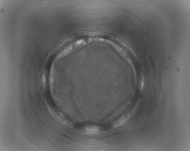 X0000082740214200702240021