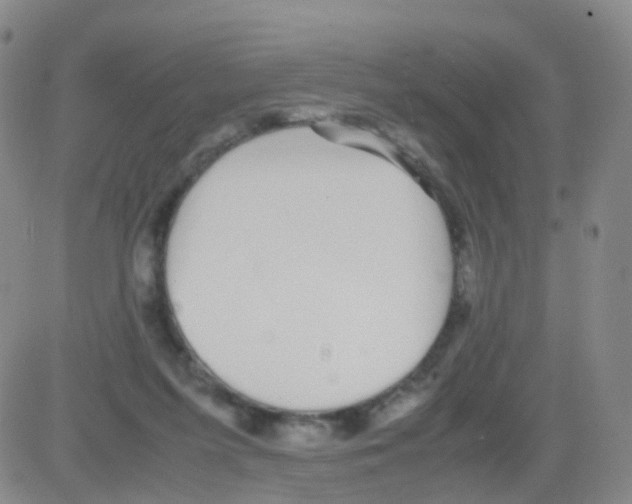 X0000082740215200702240021