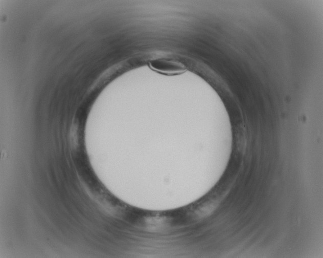 X0000082740216200702240021