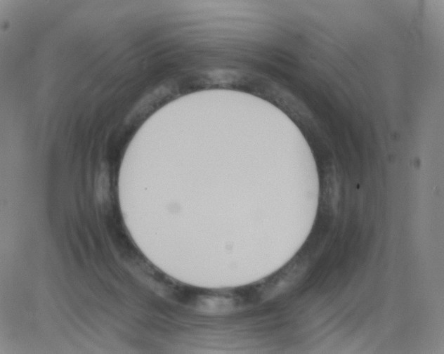 X0000082740220200702240021