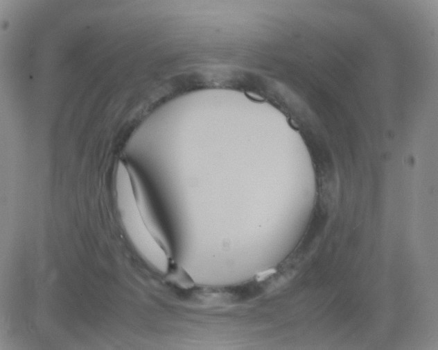 X0000082740221200702240021