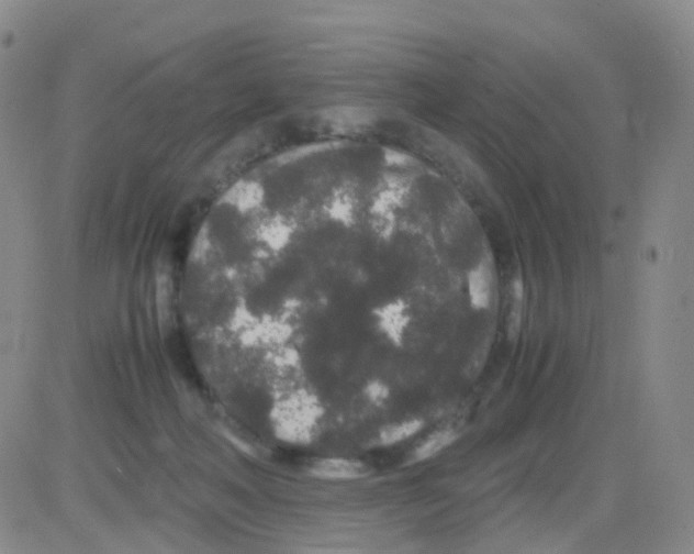 X0000082740222200702240021