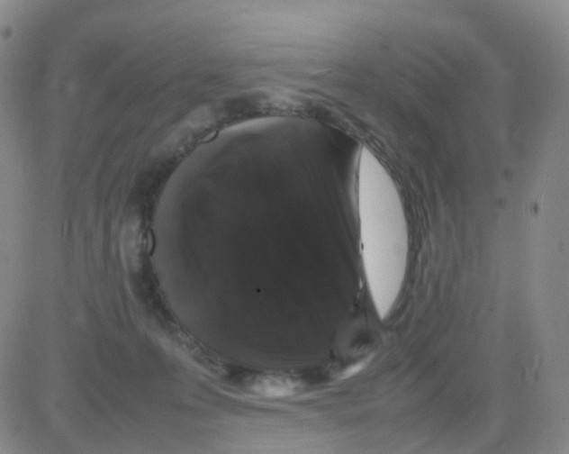 X0000082740223200702240021