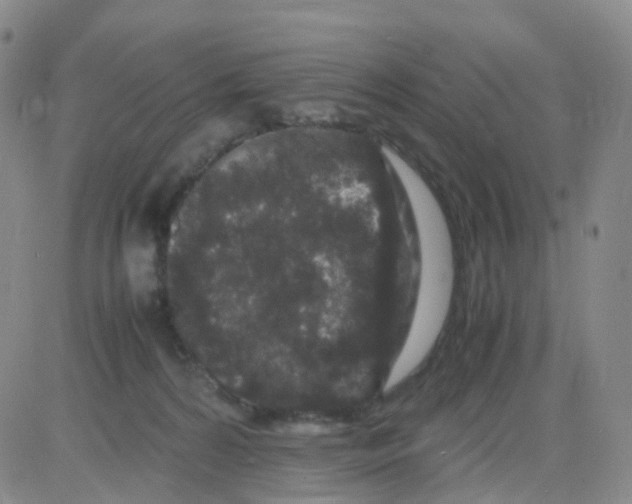 X0000082740224200702240021