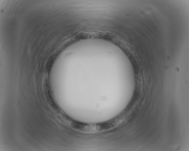 X0000082740225200702240021