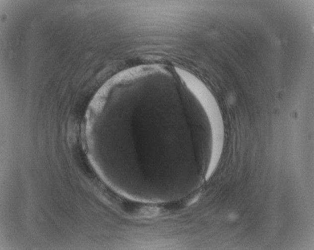 X0000082740227200702240021