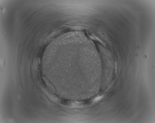 X0000082740229200702240021