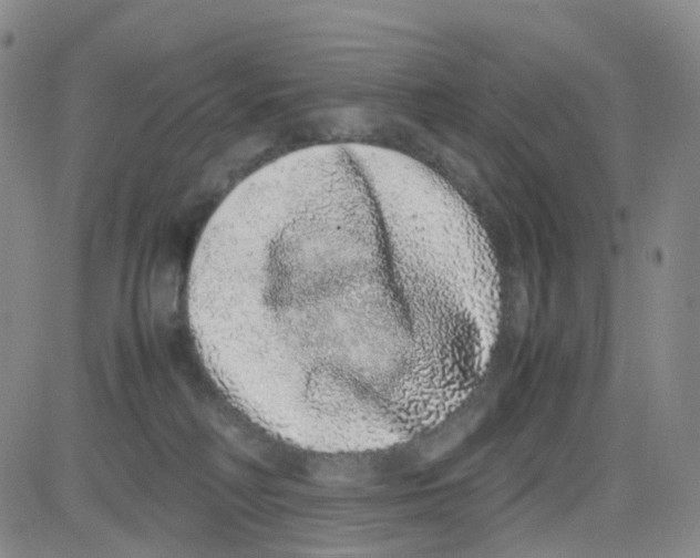 X0000082740230200702240021