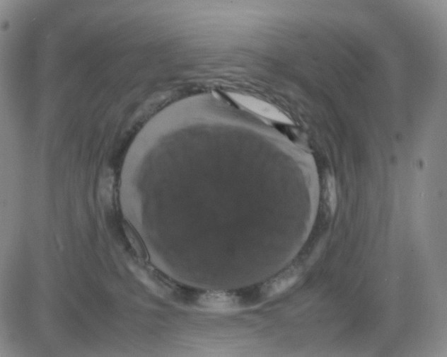 X0000082740231200702240021