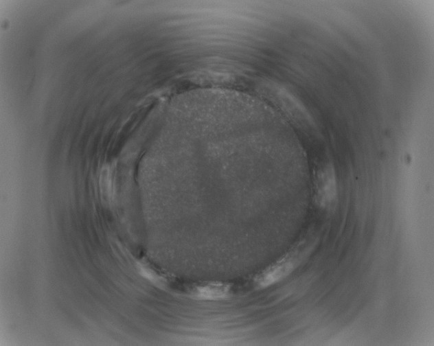 X0000082740232200702240021