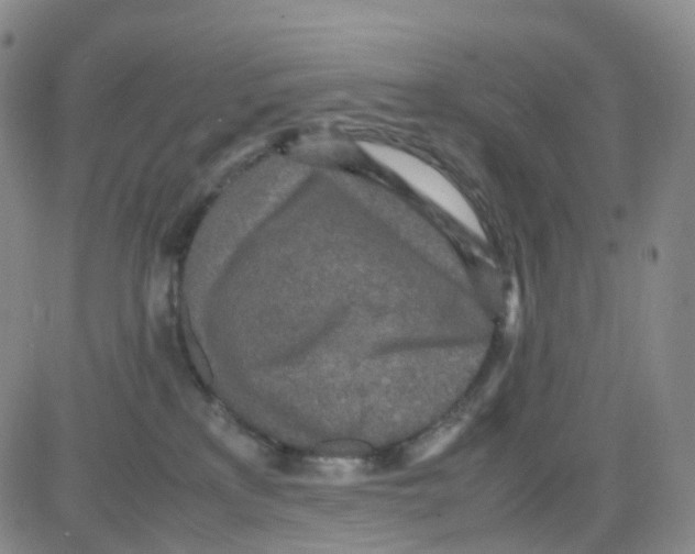 X0000082740233200702240021