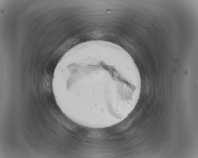 X0000082740234200702240021