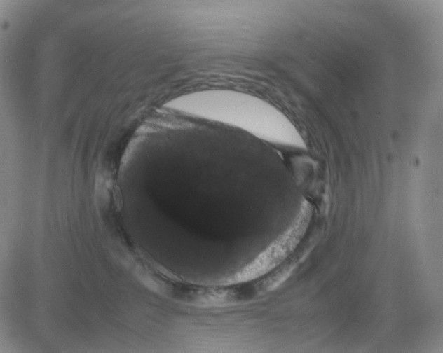 X0000082740235200702240021