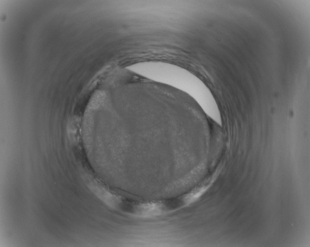 X0000082740237200702240021