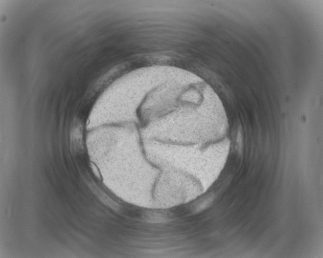 X0000082740238200702240021