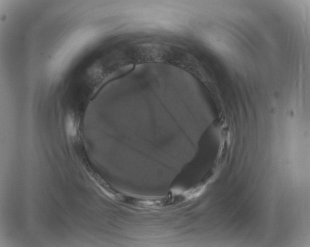 X0000082740239200702240021