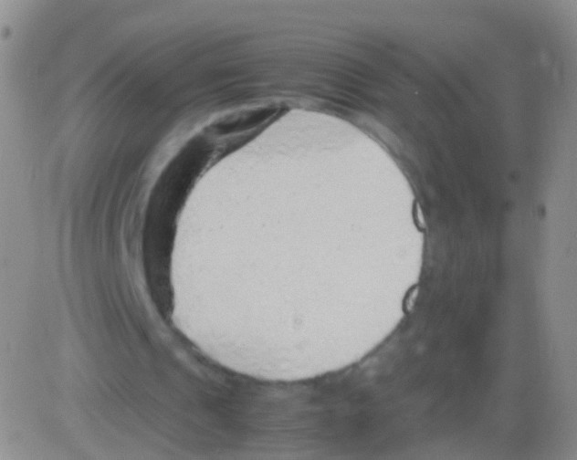 X0000082740241200702240020