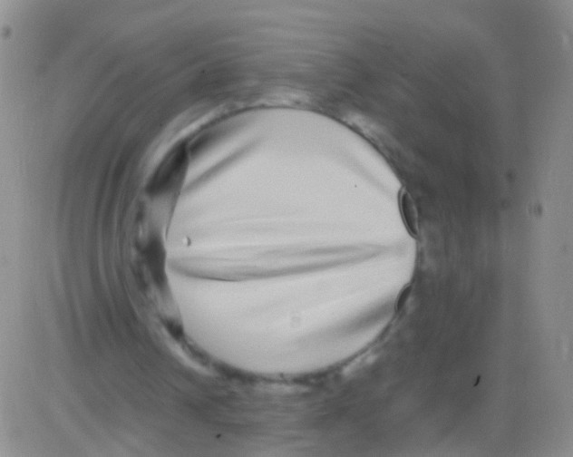 X0000082740242200702240020