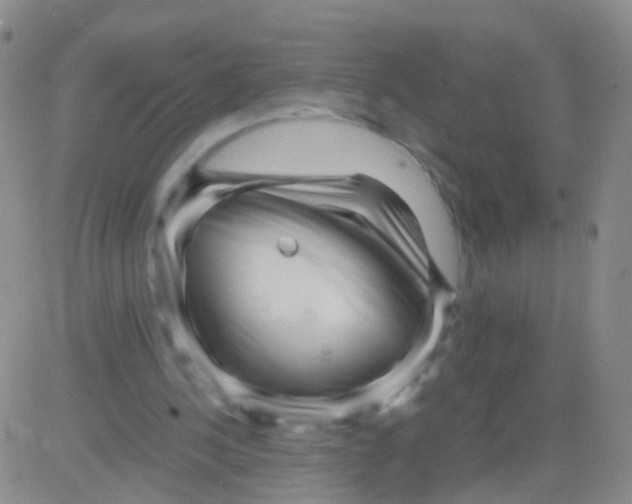 X0000082740244200702240020