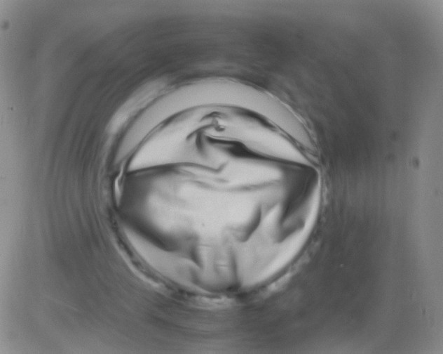 X0000082740245200702240020