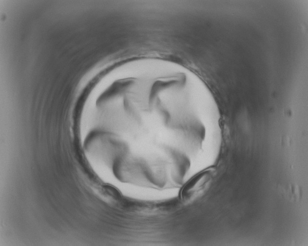 X0000082740246200702240020