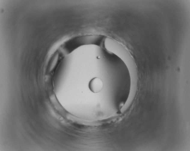 X0000082740248200702240020