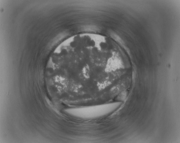 X0000082740249200702240020