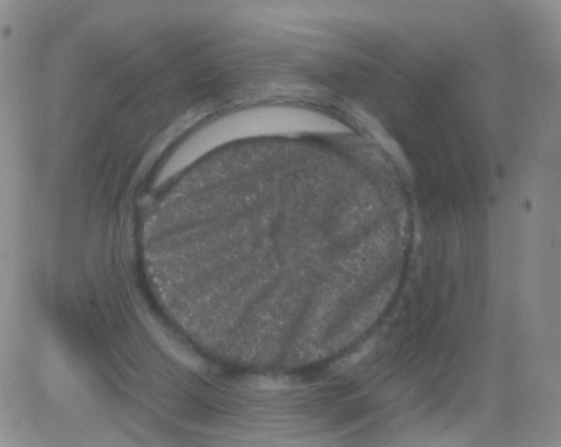 X0000082740250200702240020