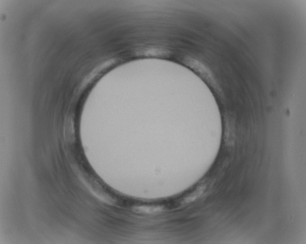 X0000082740251200702240020