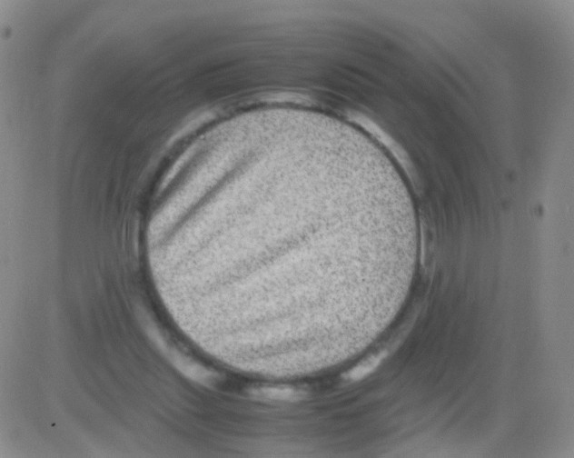 X0000082740253200702240020