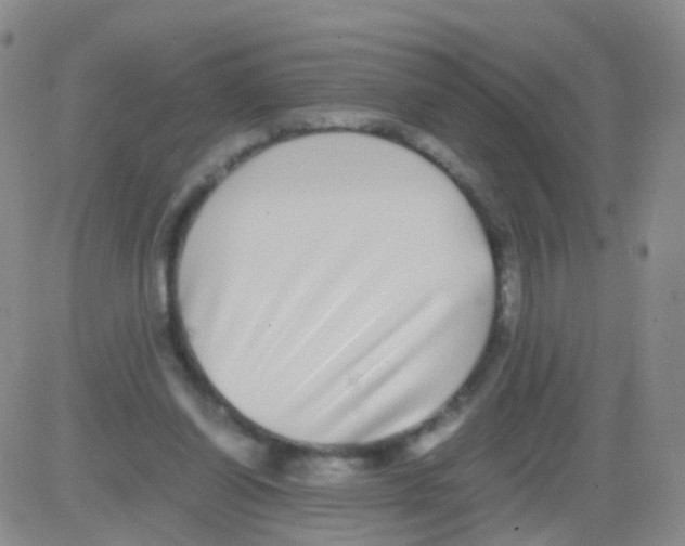 X0000082740254200702240020